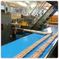 Conveyor Industry