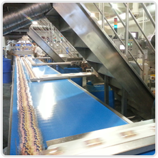 Conveyor Industry