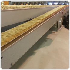 Conveyor Industry